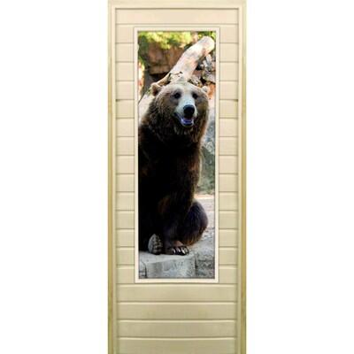 Дверь для бани со стеклом (43*129), "Медведь-5", 170×70см, коробка из осины