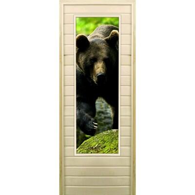 Дверь для бани со стеклом (43*129), "Медведь-1", 170×70см, коробка из осины