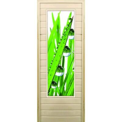 Дверь для бани со стеклом (43*129), "Капли", 190×70см, коробка из осины