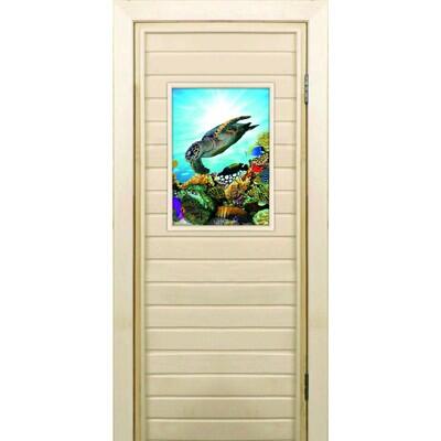 Дверь для бани со стеклом (40*60), "Черепаха-2", 180×70см, коробка из осины