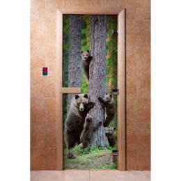 Дверь DoorWood с фотопечатью A064